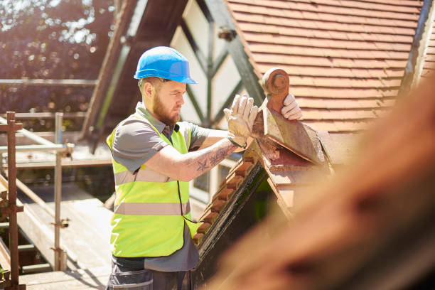 Best Roof Repair Services  in Bay Springs, MS